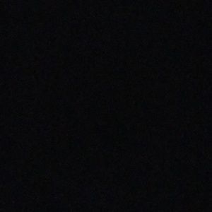 Meet your Posher, Bobby